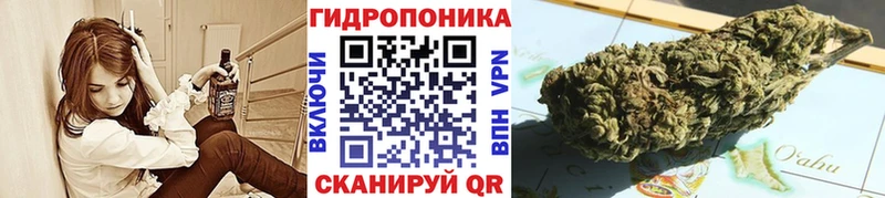 Шишки марихуана OG Kush  Шарыпово 